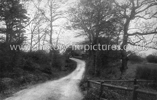 A County Lane in Little Baddow, Essex. c.1905